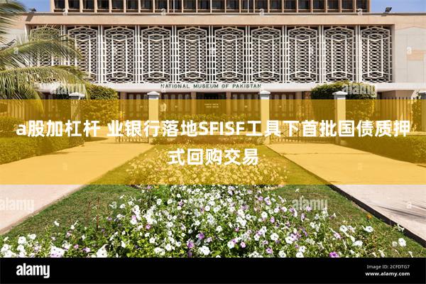 a股加杠杆 业银行落地SFISF工具下首批国债质押式回购交易