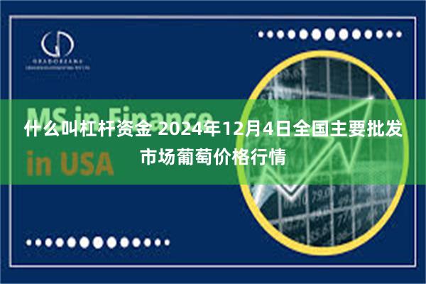 什么叫杠杆资金 2024年12月4日全国主要批发市场葡萄价格行情