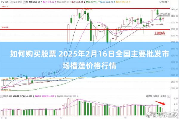 如何购买股票 2025年2月16日全国主要批发市场榴莲价格行情